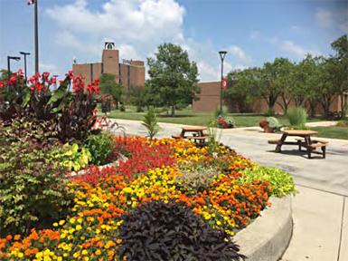 Toledo-area Campus