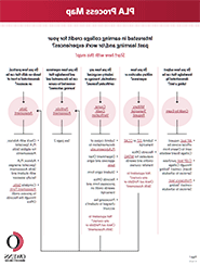 PLA process map