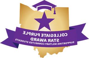 Collegiate Purple Star Award